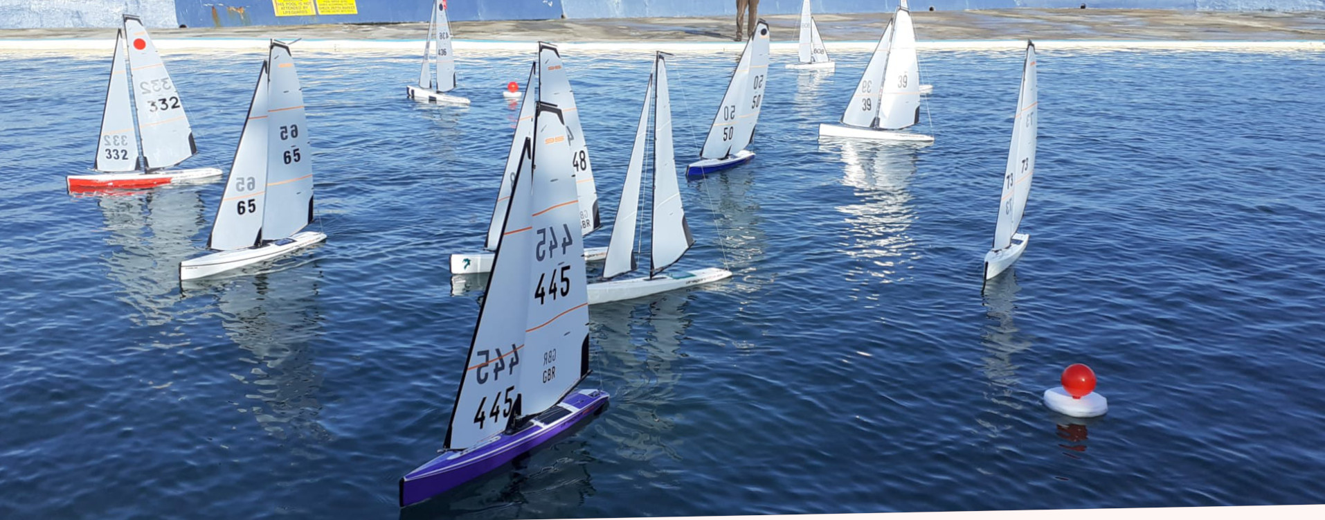 torbay model yacht club